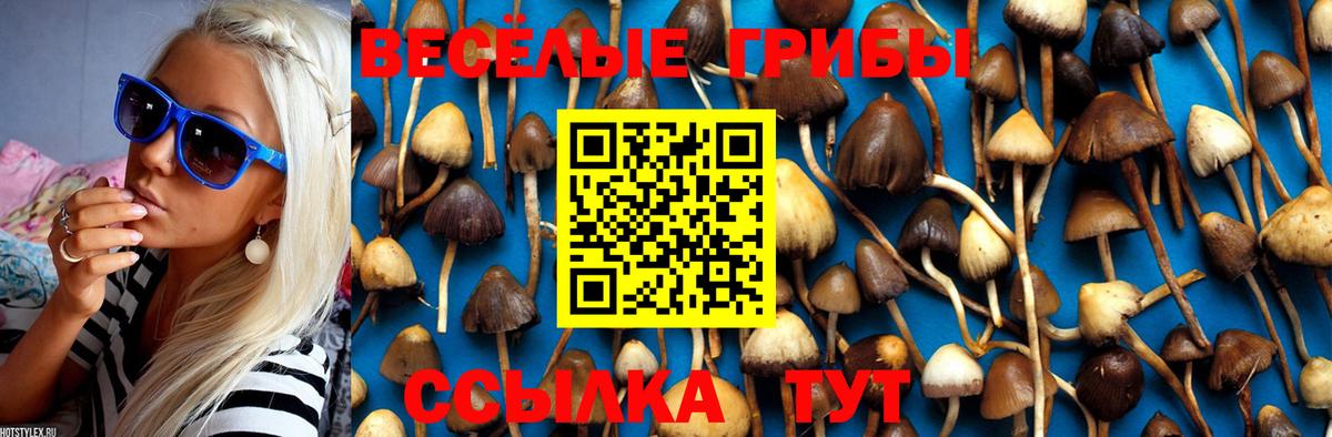 Галлюциногенные грибы MAGIC MUSHROOMS Грязи