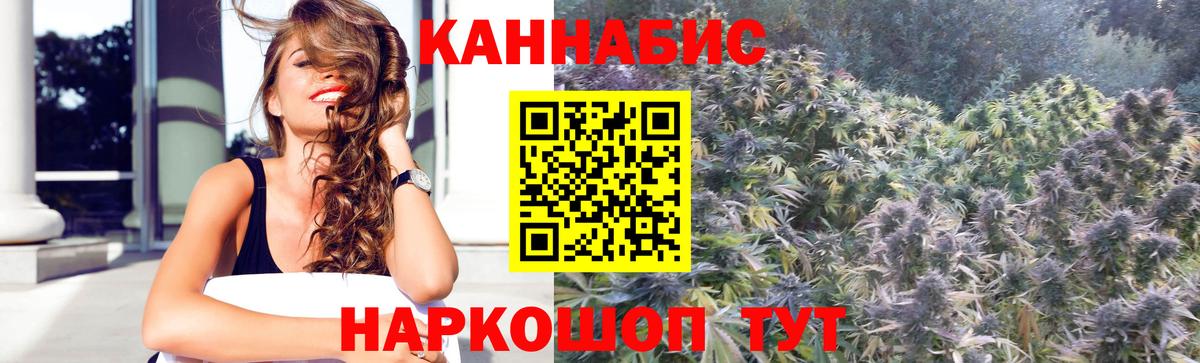 Бошки марихуана планчик  Марихуана SATIVA & INDICA  Вход с VPN  Грязи  Каннабис планчик 